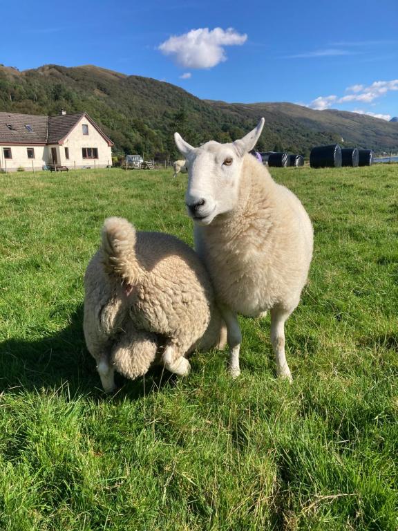 Highland Croft B&B photo