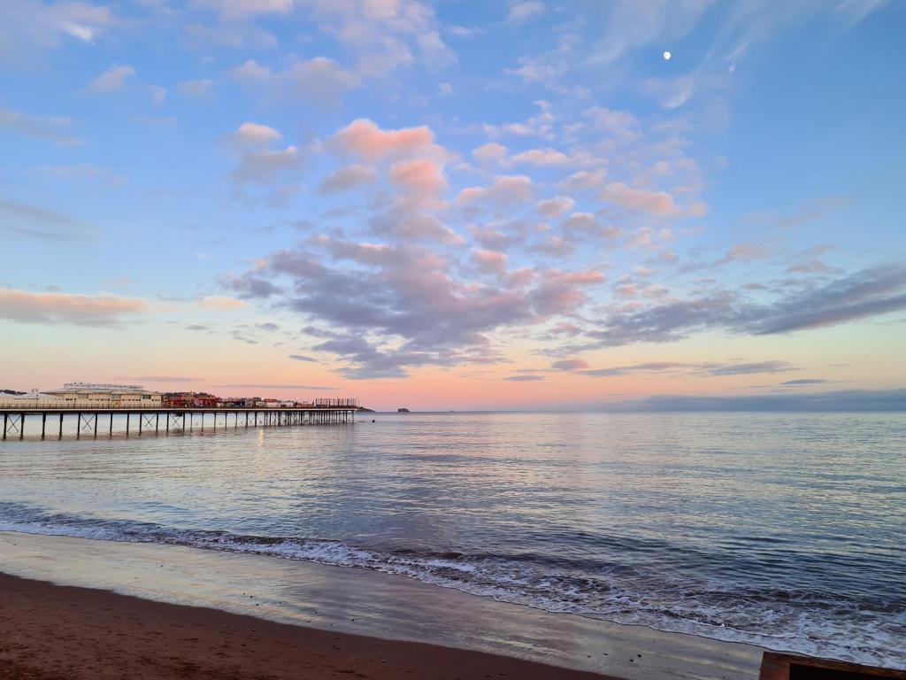 The Miggi Vegan Guesthouse, Paignton photo 4