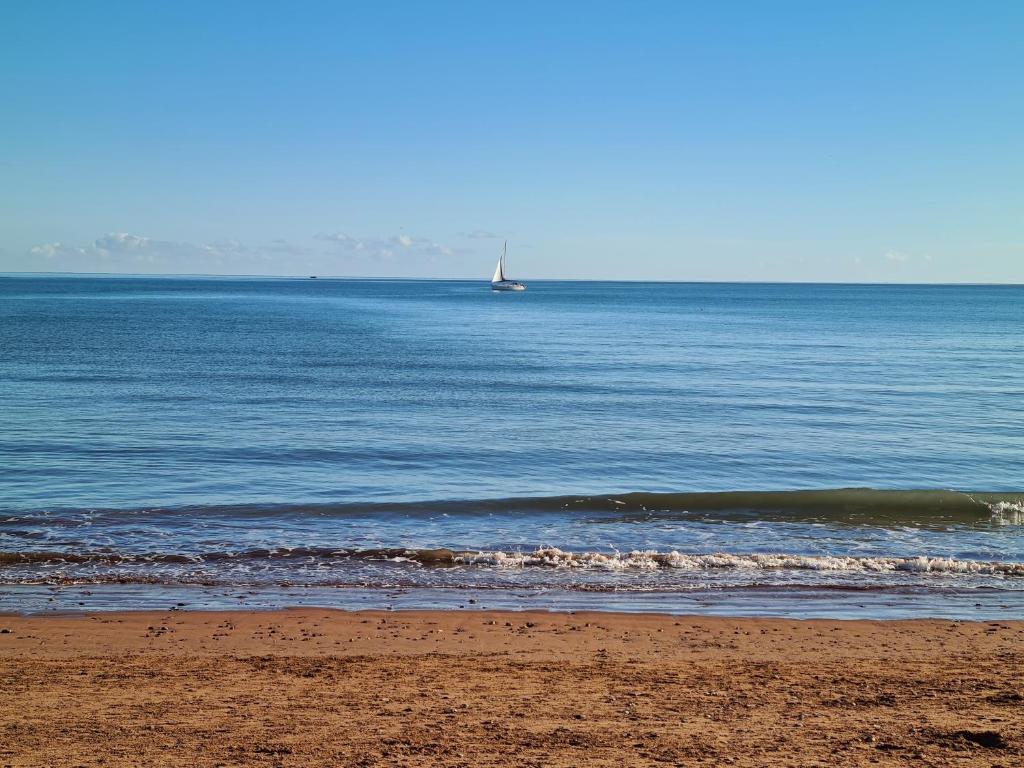 The Miggi Vegan Guesthouse, Paignton photo 7