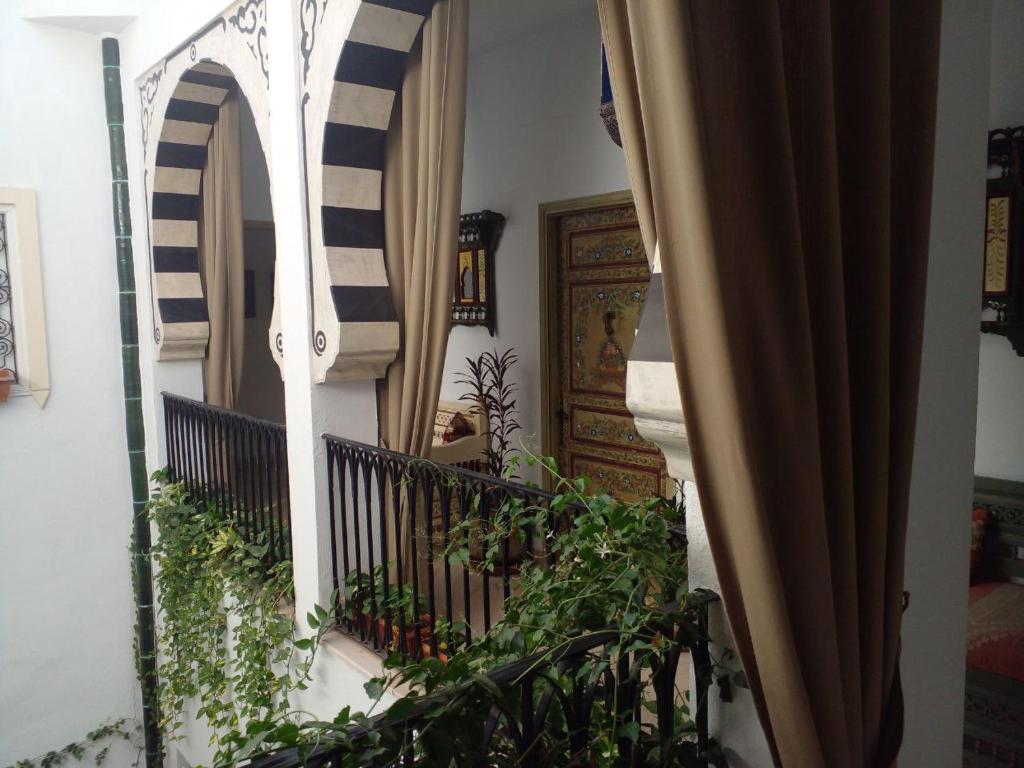 El Patio Courtyard House