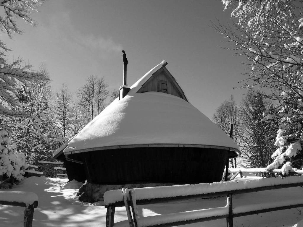 Chalet Kanja Velika Planina photo