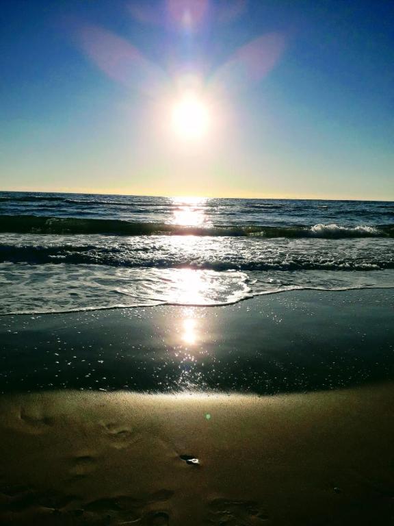 Cockleshell Chalet, Kidwelly