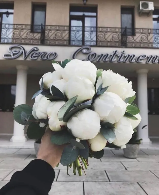 New Continent, hotel in Bushtyno