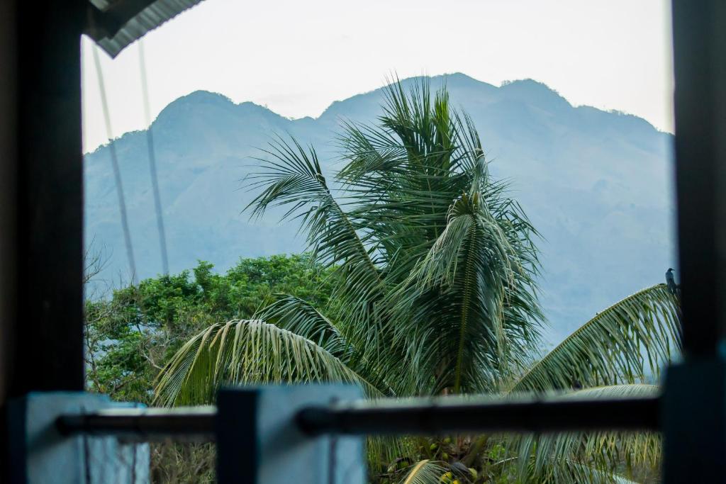 Vistas