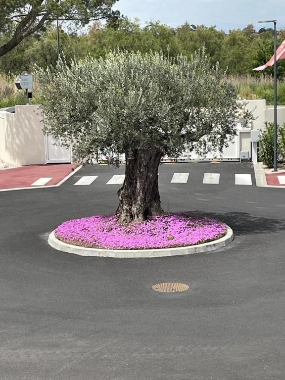 Au cœur du Golf, appartement neuf vue golf et piscine - Clim Wifi parking - 2