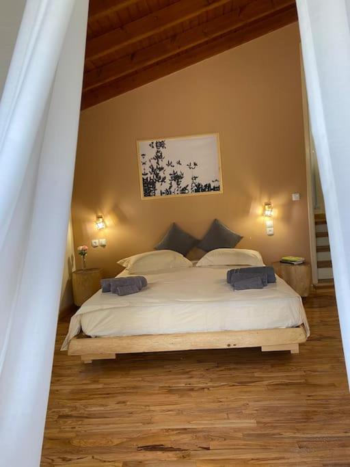 Casa Piccolino, Paramonas