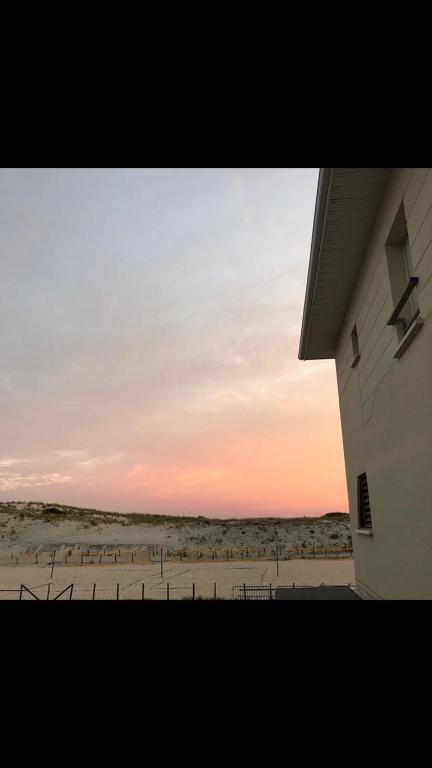 T2, bord de plage et piscine - 5