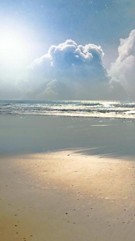 T2, bord de plage et piscine - 1