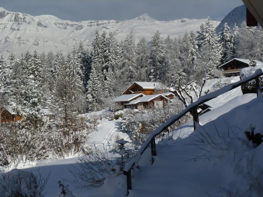 Chalet des Alpes photo