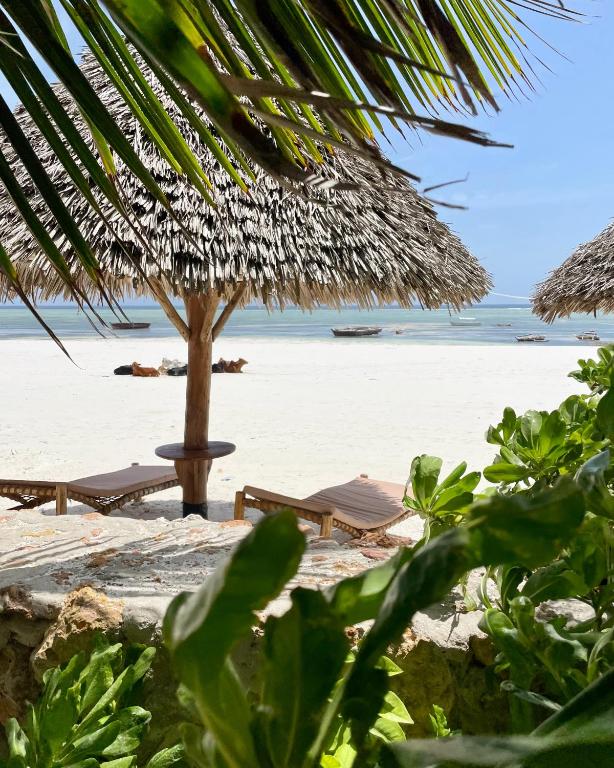 HEBE Bungalows Lodge photo