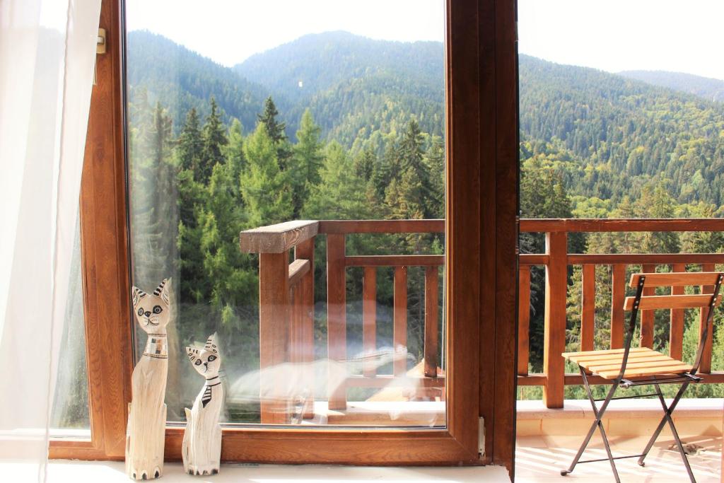 Ảnh 5