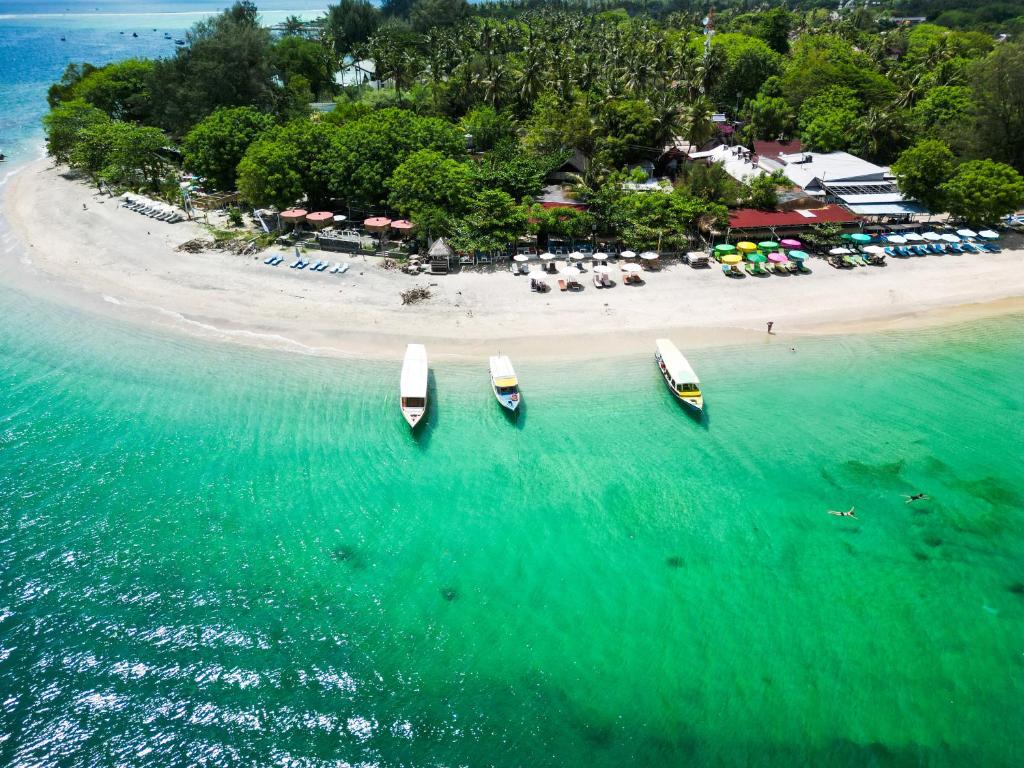 Zipp Bar Restaurant & Bungalows