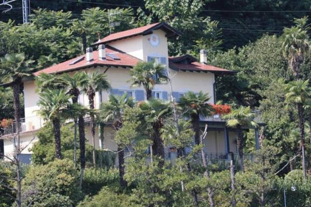Villa Vignolo - 3