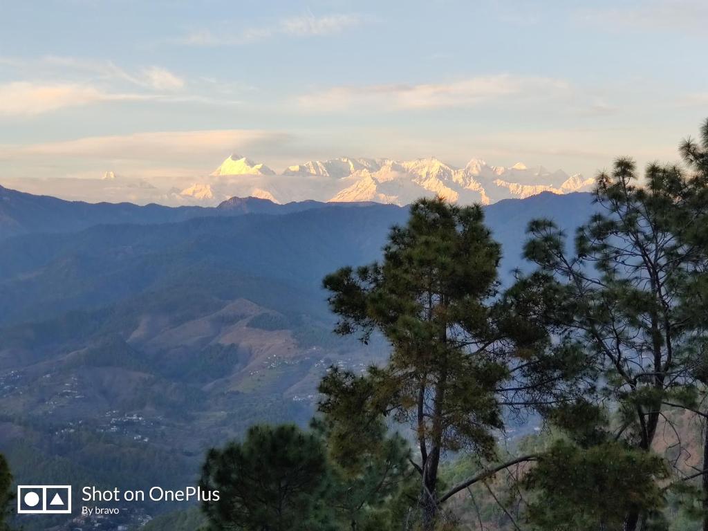 Nanda devi himalayan homestay photo