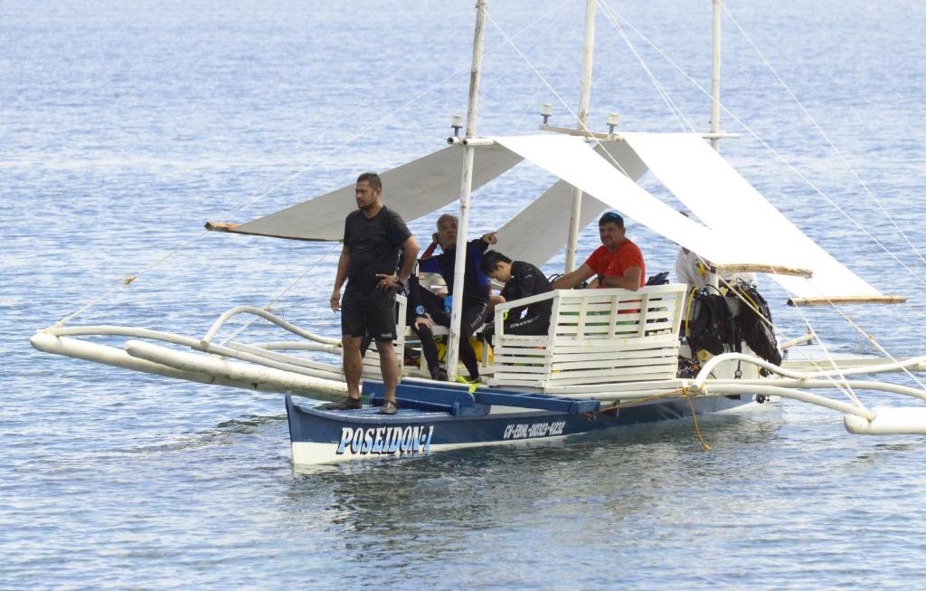 アクティビティ