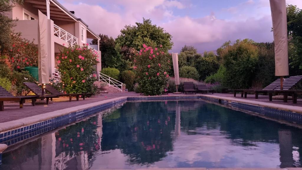 スイミングプール