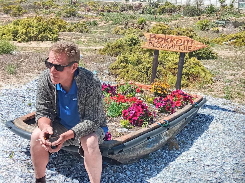 Bokkomblommetjie photo