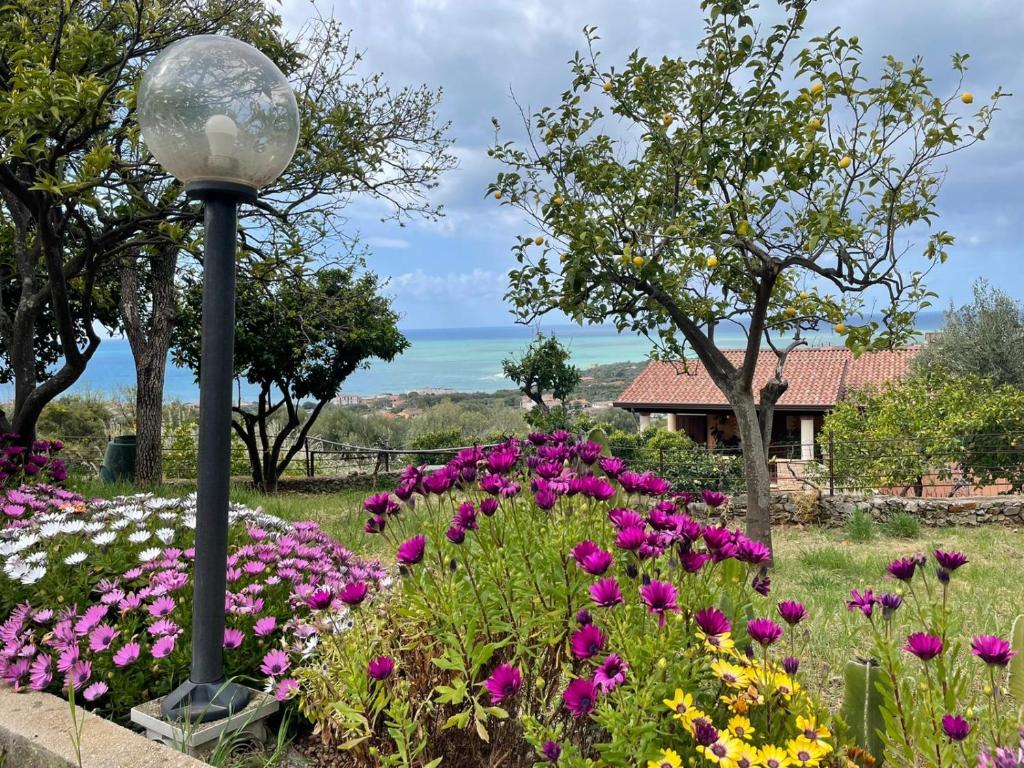 Cilento Apartment in villa with sea views