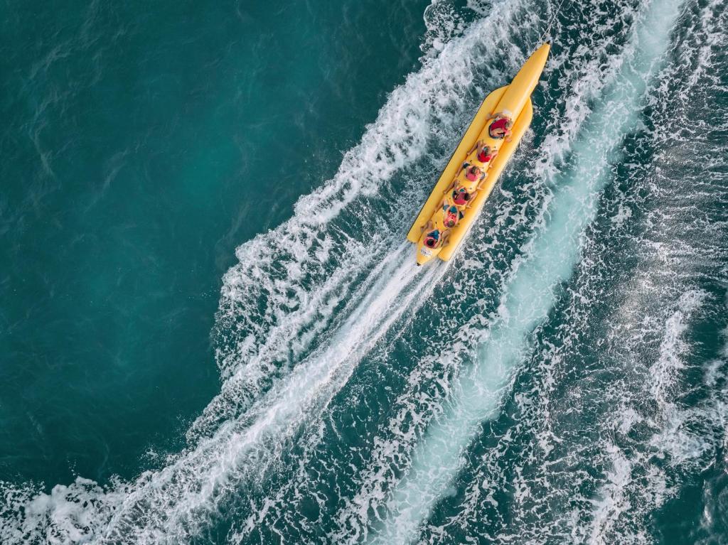 アクティビティ