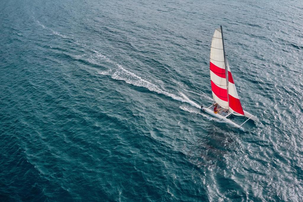 スポーツ/アクティビティ