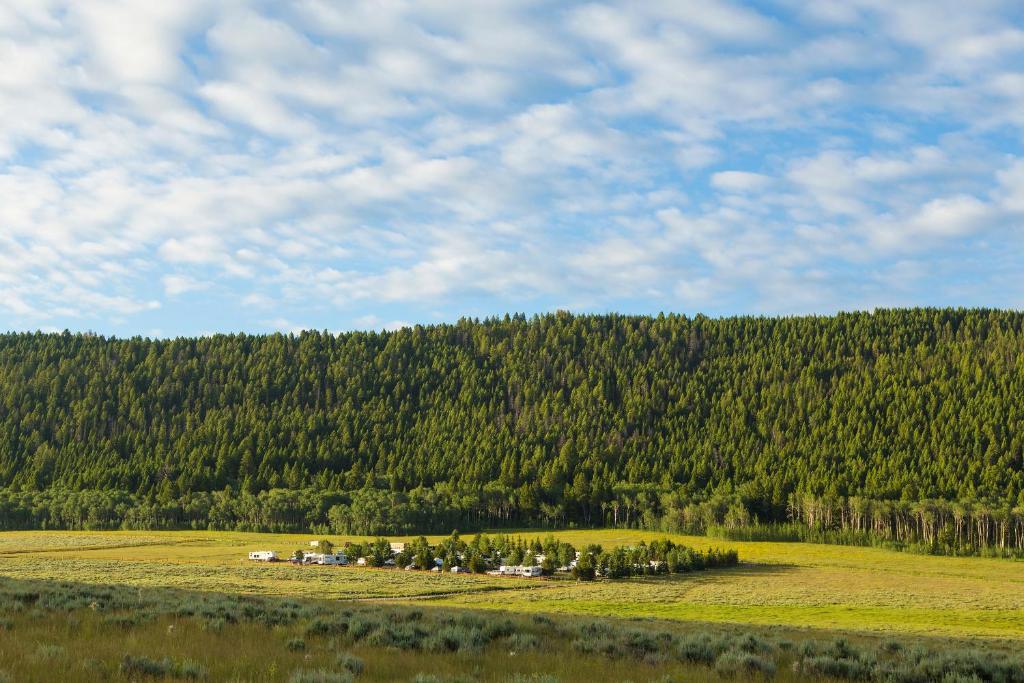 Red Rock RV Park, Island Park