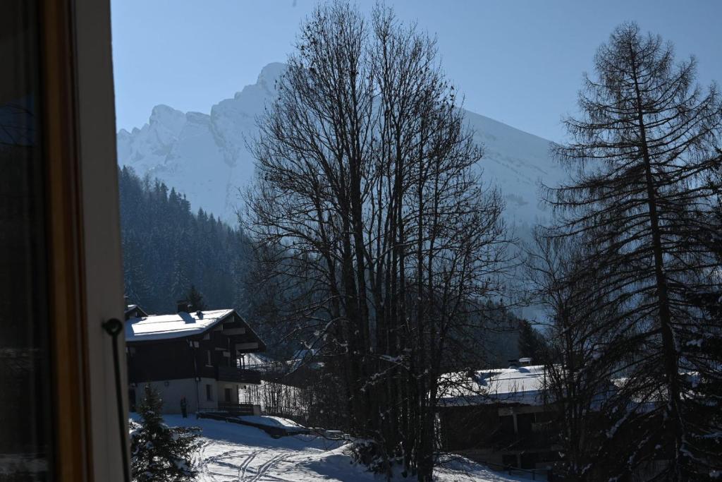 Les bouquetins - 5