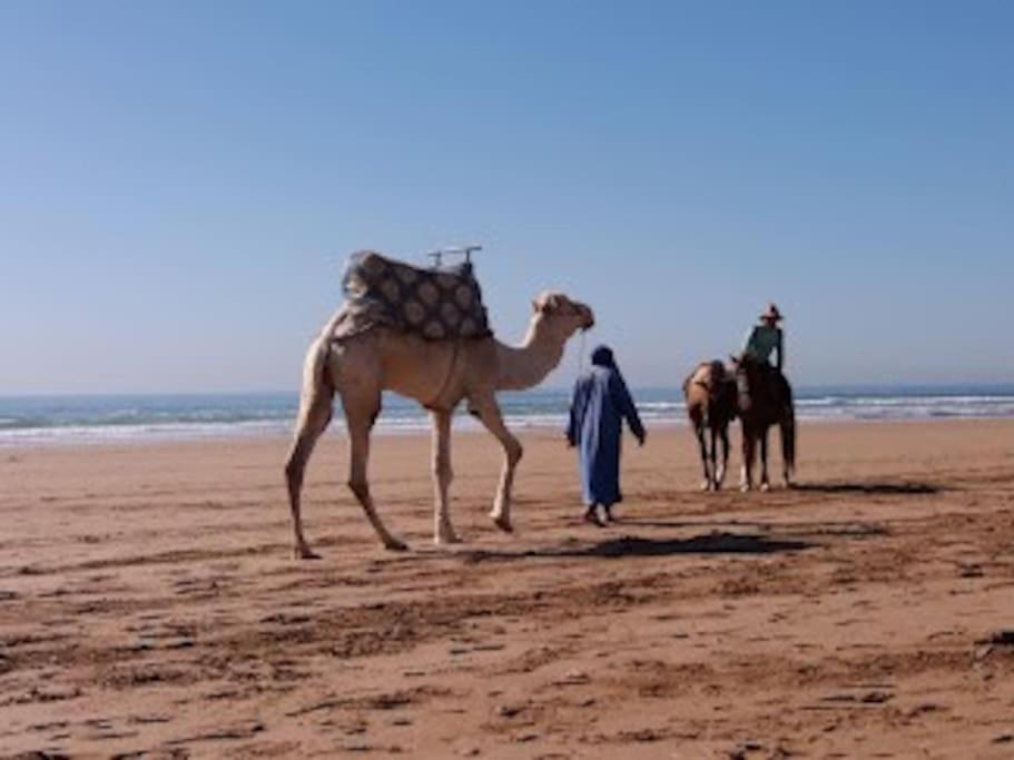 A4 Vue sur mer à 200m de la plage, Agadir