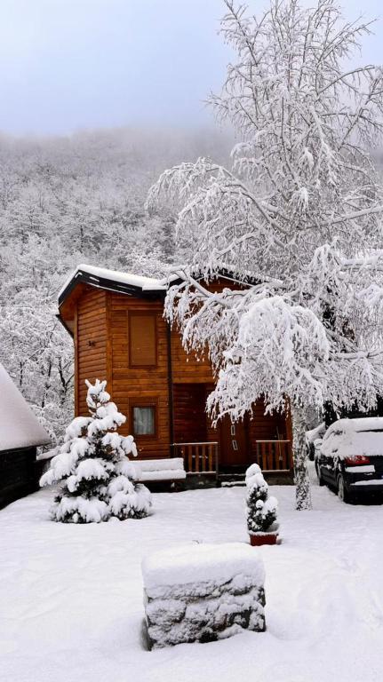 Rajsko Selo Kolasin - 1