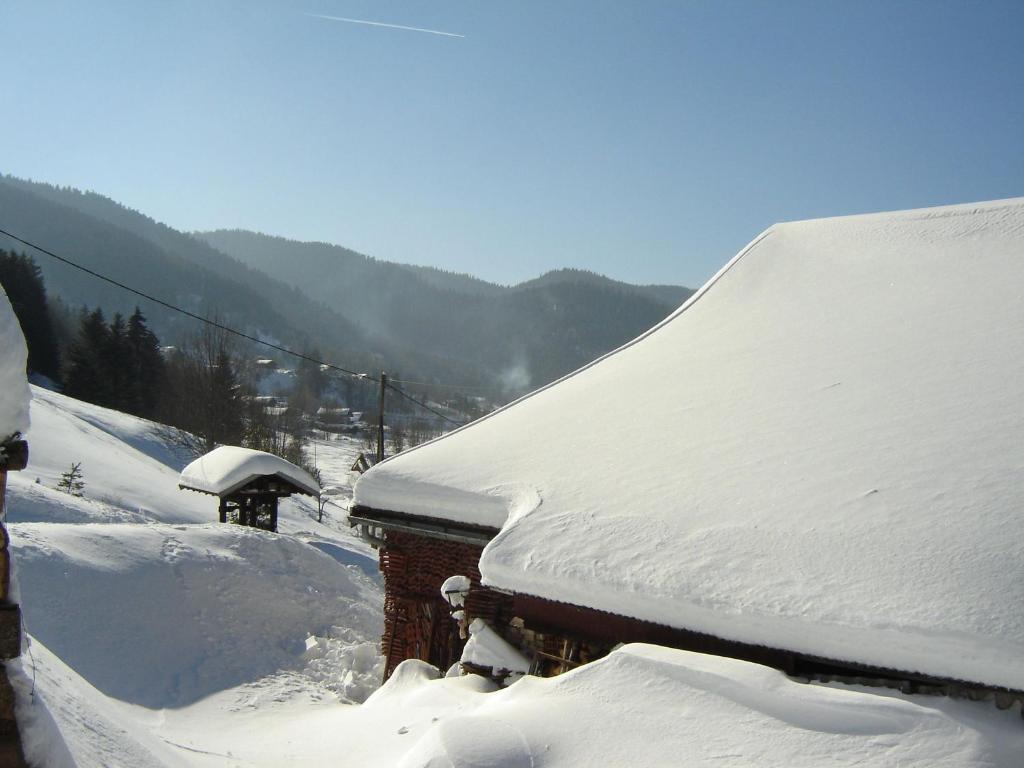 Charmant Gîte avec Garage et Local Vélos au Pied des Pistes de La Bresse - FR-1-589-127 - 2