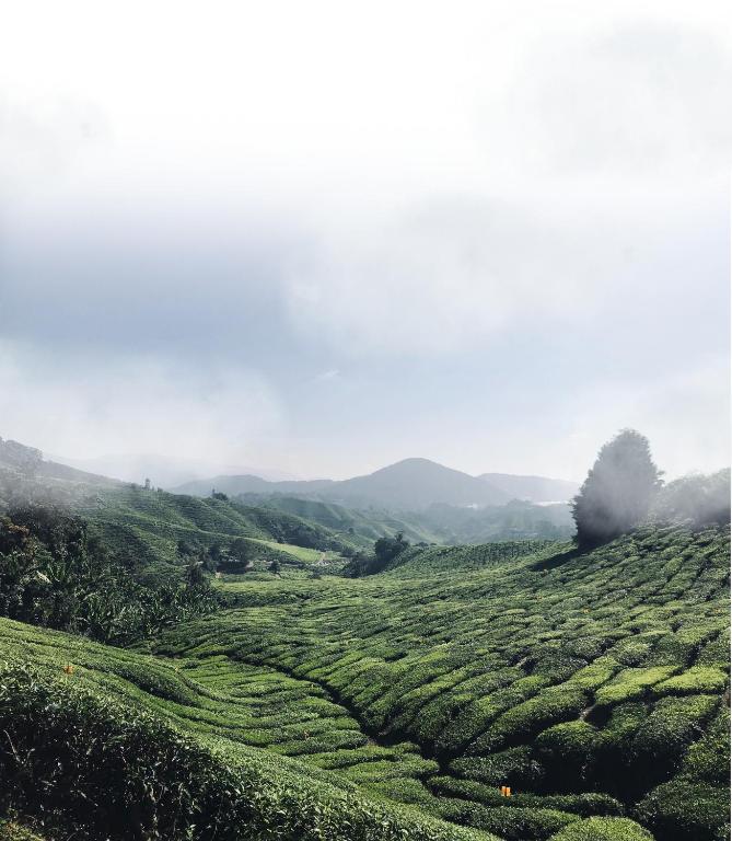Surrounding environment
