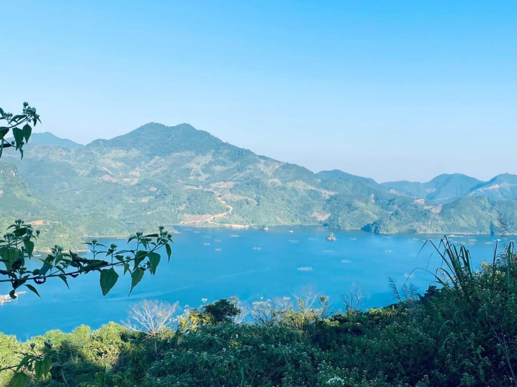 Surrounding environment