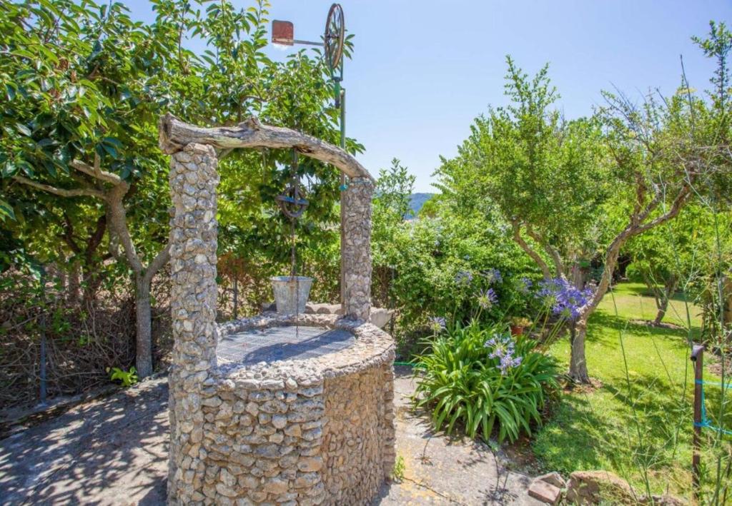 Finca Sa Sort Llarga - 4