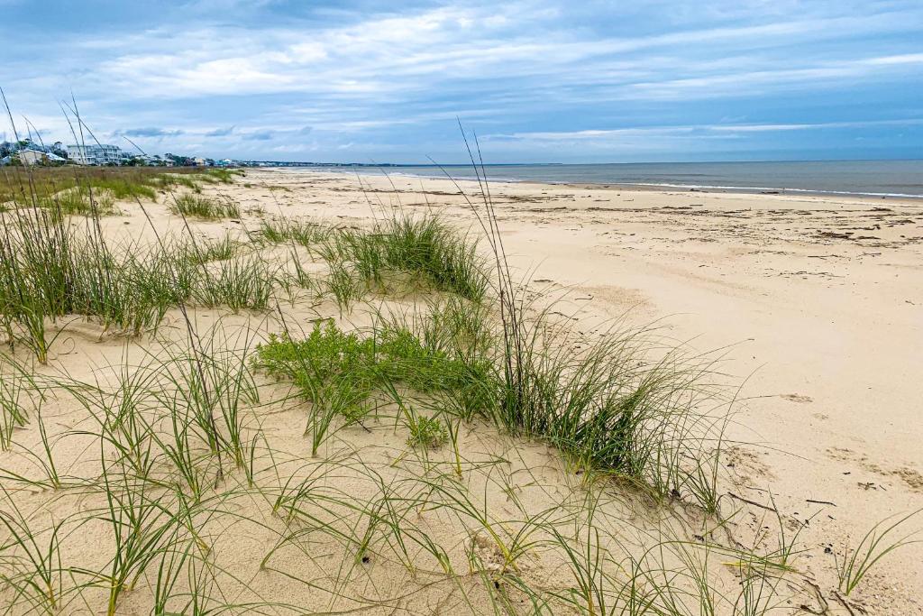 Seaside Searenity photo