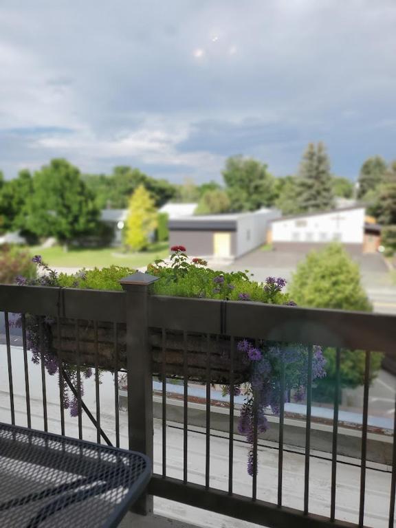 Three Forks Lewis & Clark Motel photo