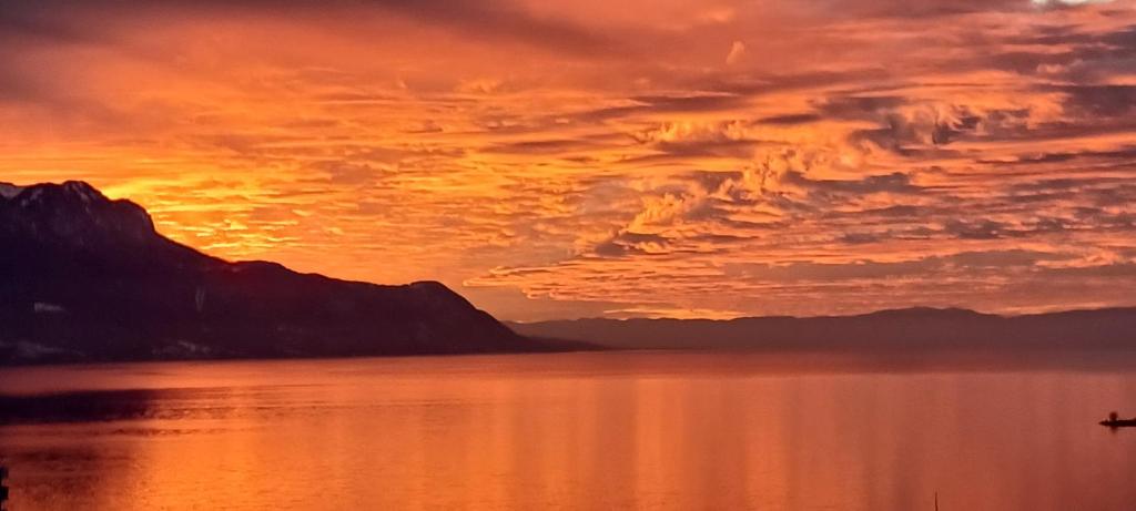 La plus belle vue du lac Léman - 2