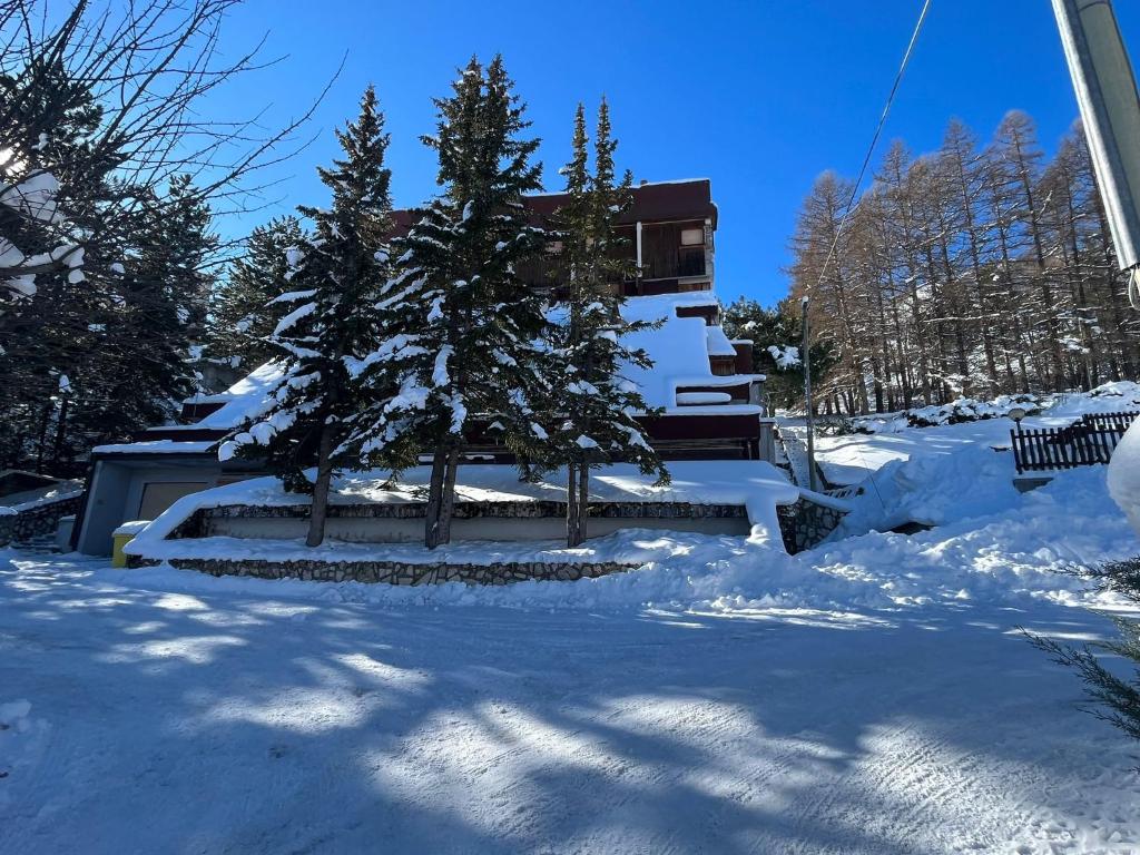 La Pigna Sbarazzina