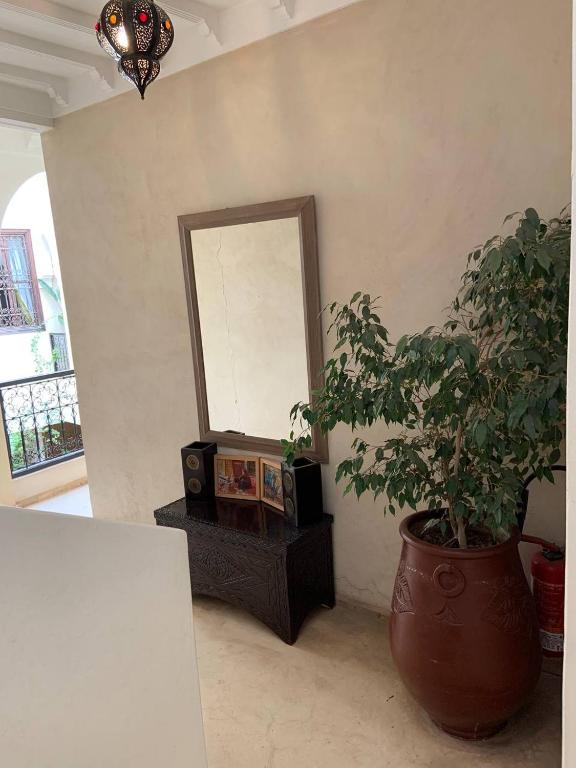 Riad Karmanda photo