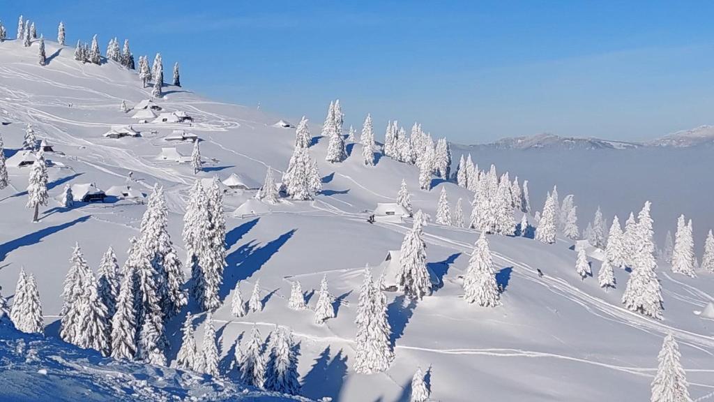Chalet Kanja Velika Planina photo