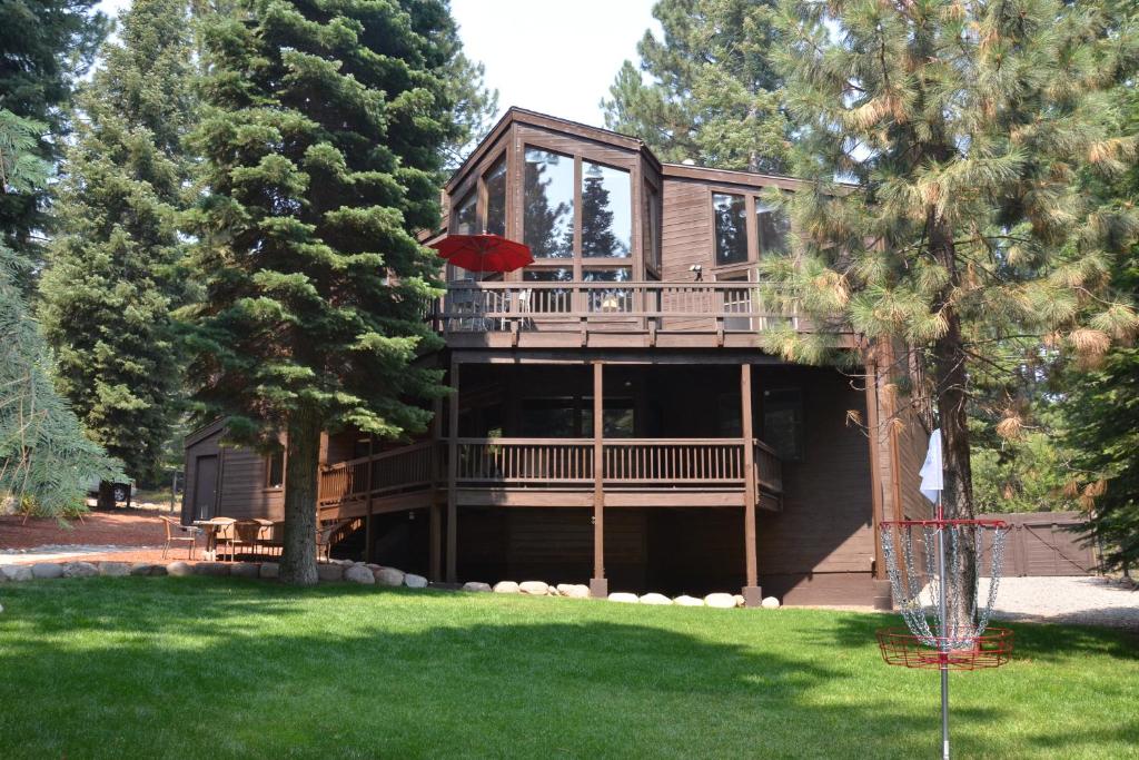 A Slice of Silver Fir, Truckee