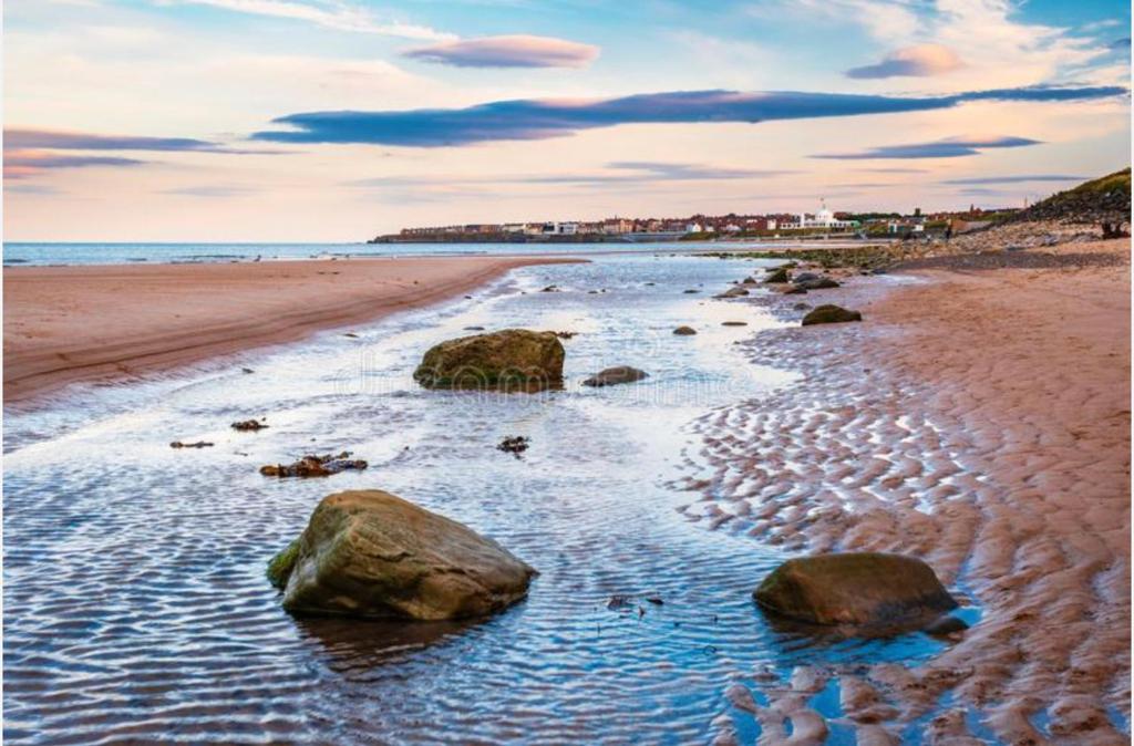 Marine Apartment, Whitley Bay photo 7