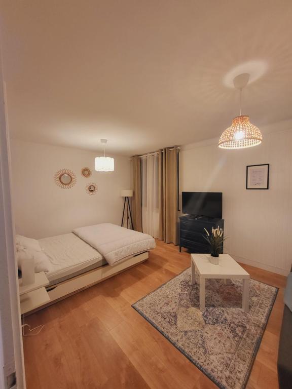 Appartement T1 bis 35m2 ANNECY proche centre ville - 2