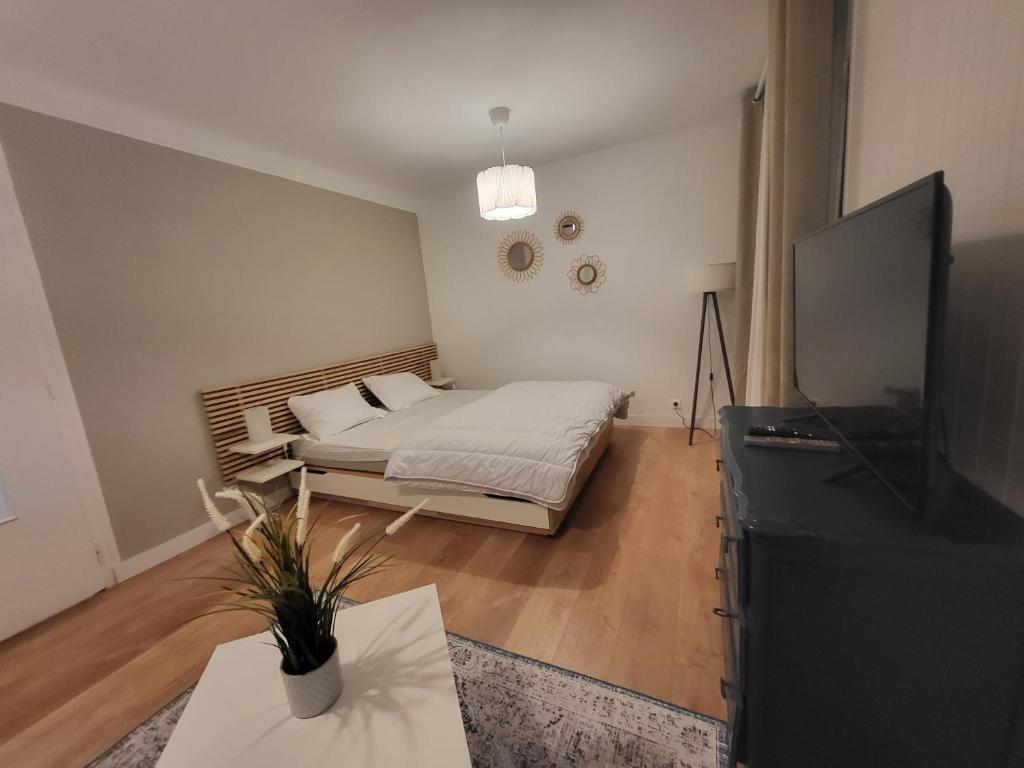 Appartement T1 bis 35m2 ANNECY proche centre ville - 1