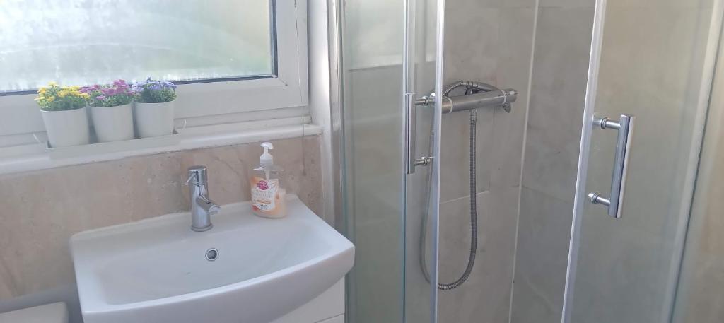 Comfortable double room photo