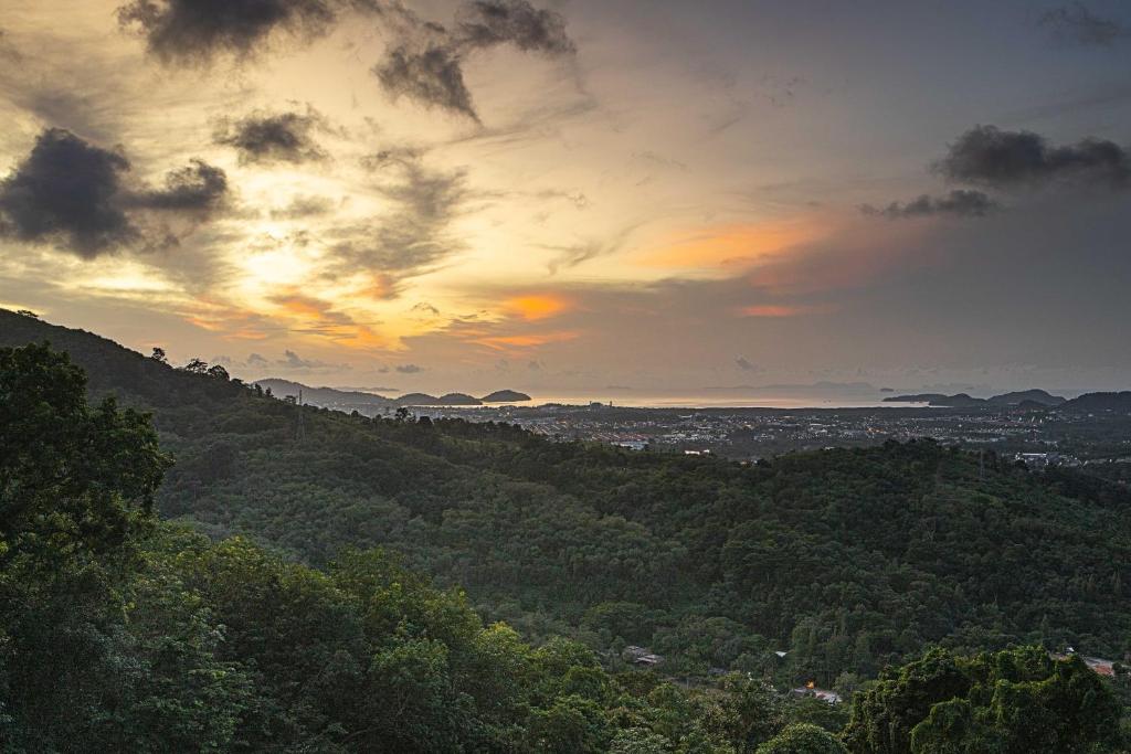 View