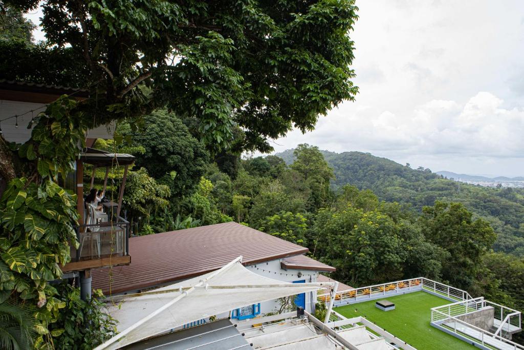 View