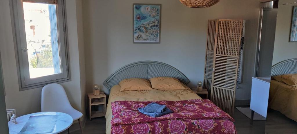 CHAMBRE SPACIEUSE DANS MAISON ART DECO au CENTRE DE TOULOUSE - 3
