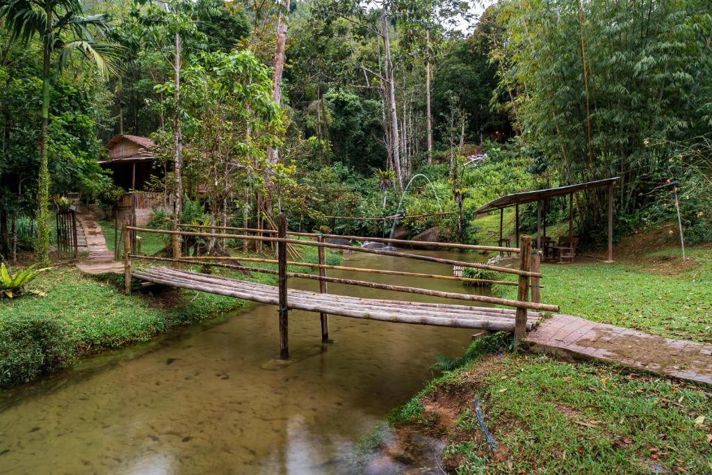 Rain Forest Inn photo