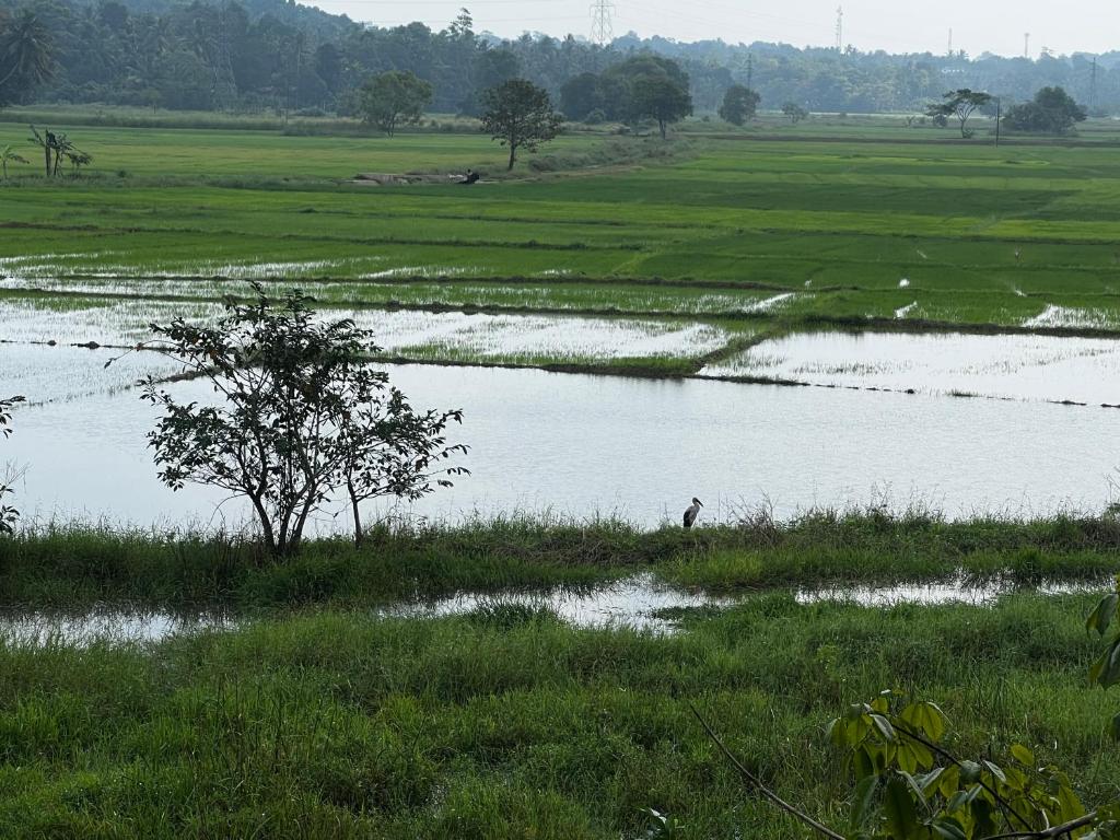 Surrounding environment