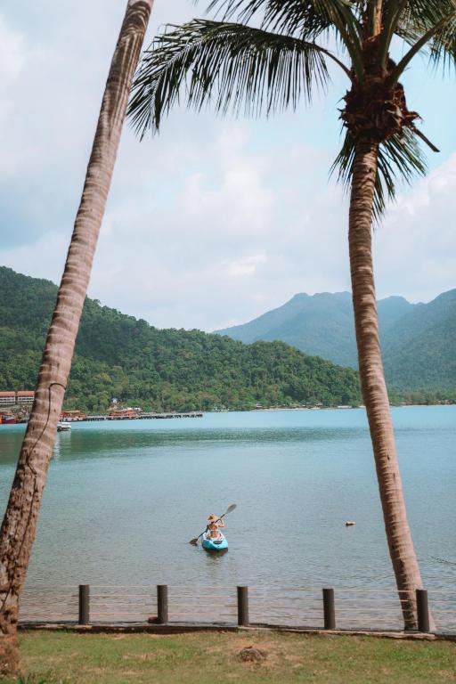 Programlehetőségek