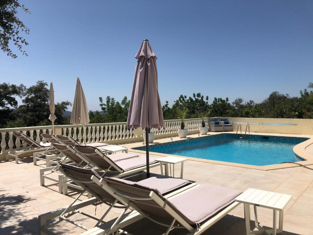 Panoramic Paradise photo